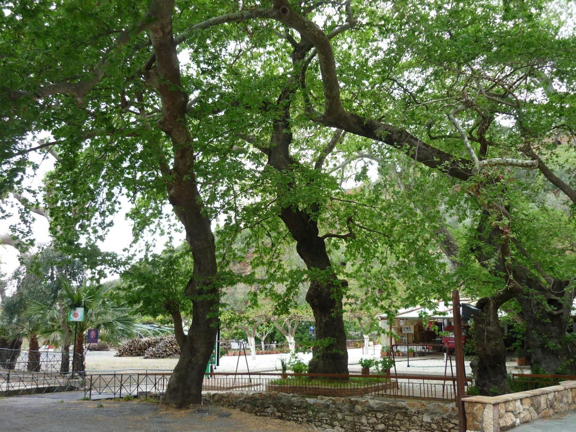 Pagona Hotel Лутра Едипсу Екстериор снимка